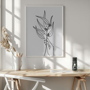 Seeded eucalyptus line art Poster