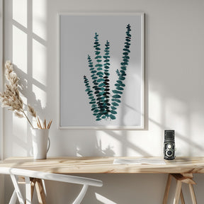 Teal watercolor eucalyptus I Poster