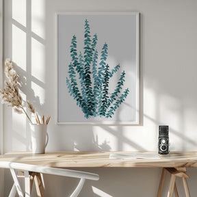 Watercolor eucalyptus branch in teal Poster