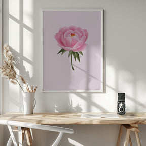 Peony statement Poster