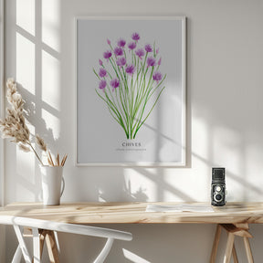 Chives I Poster