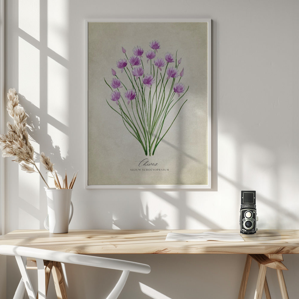 Chives vintage Poster