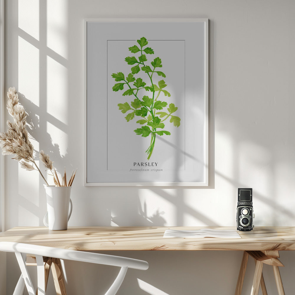 Parsley II Poster