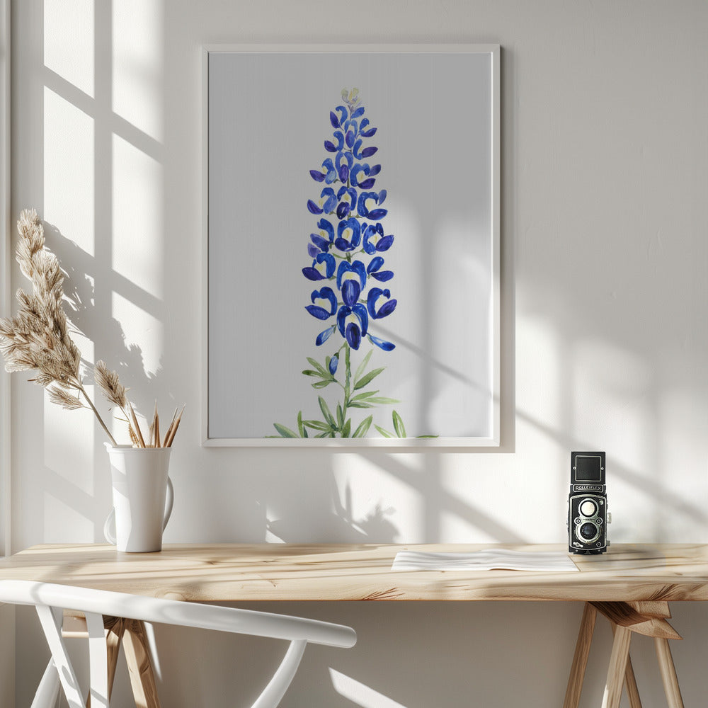 Watercolor Texas bluebonnet Poster