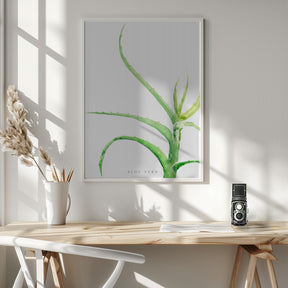 Watercolor aloe vera Poster