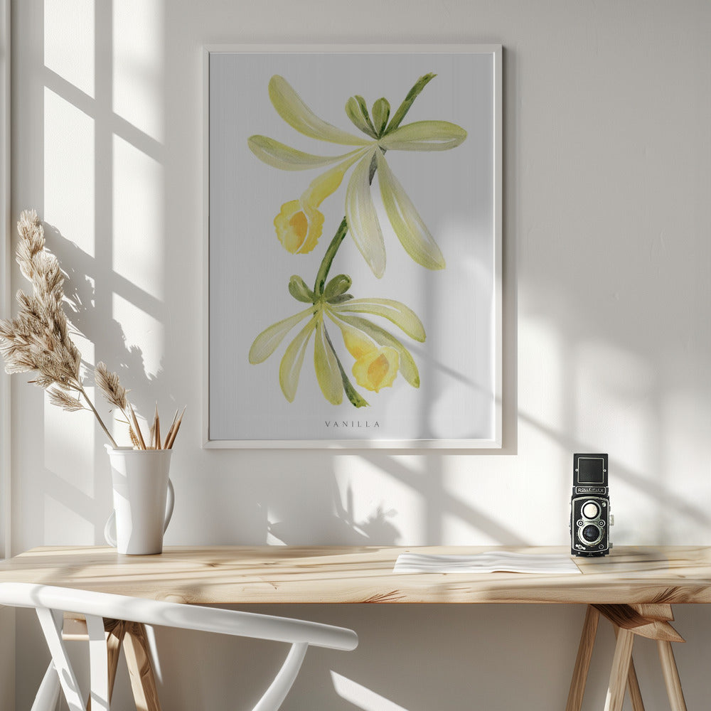 Watercolor vanilla orchid Poster