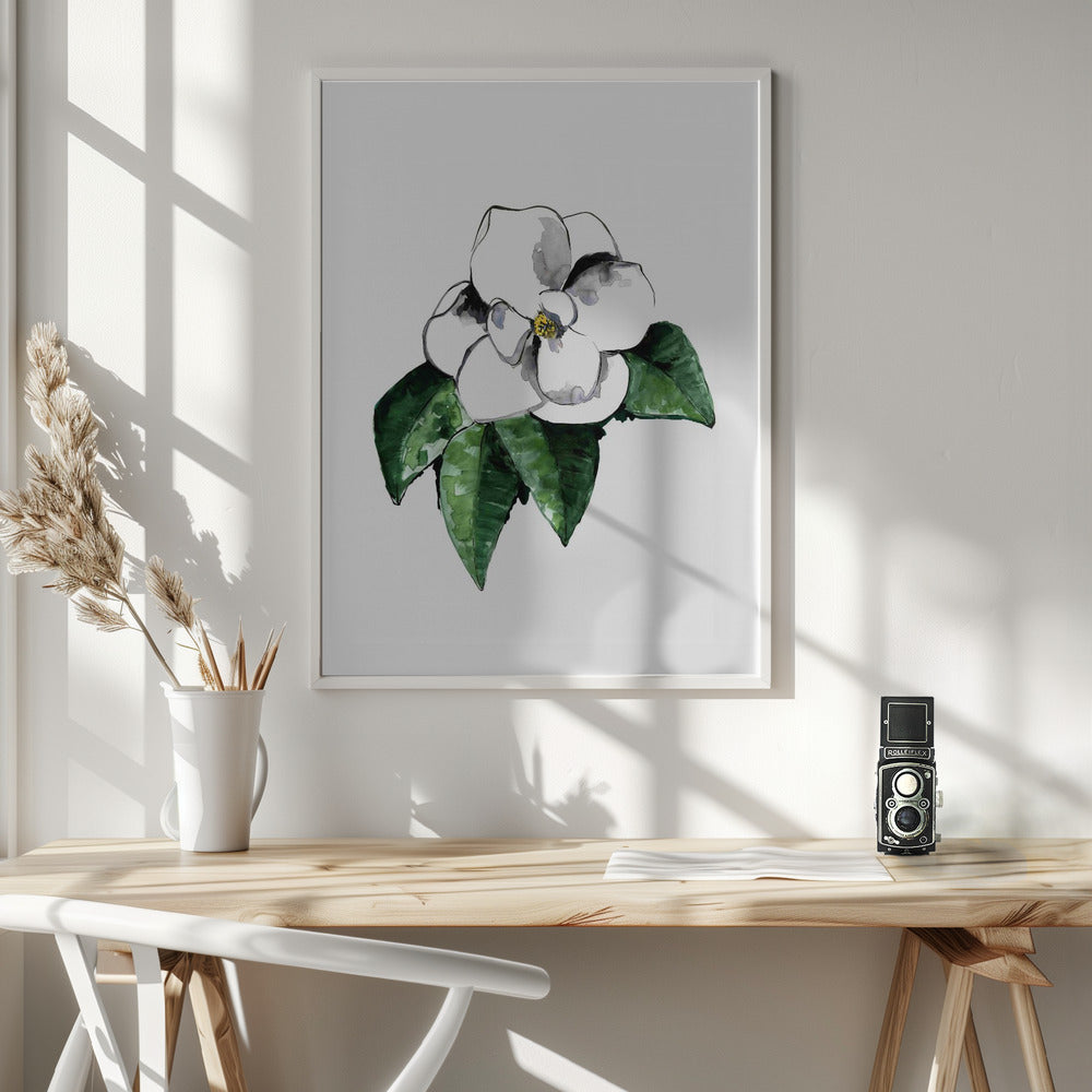 White magnolia Poster