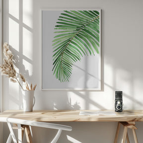 Palm leaf in loose watercolor Poster