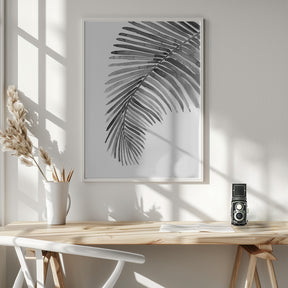 Palm leaf in loose watercolor Black and White Poster