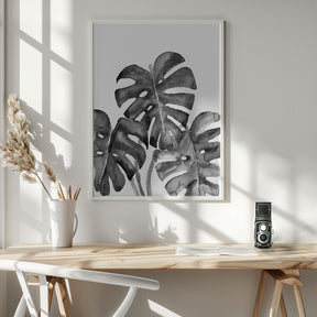 Monstera Leaves In Loose Watercolor Black and White Poster