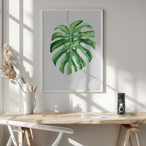 Monstera Leaf Poster