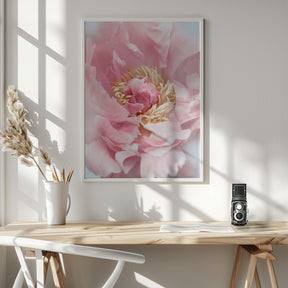 Blush peony I Poster