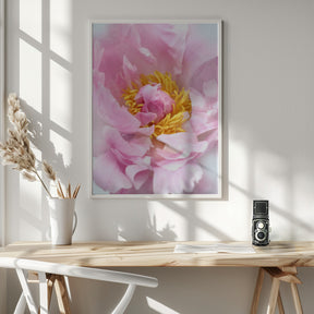 Pink peony I Poster