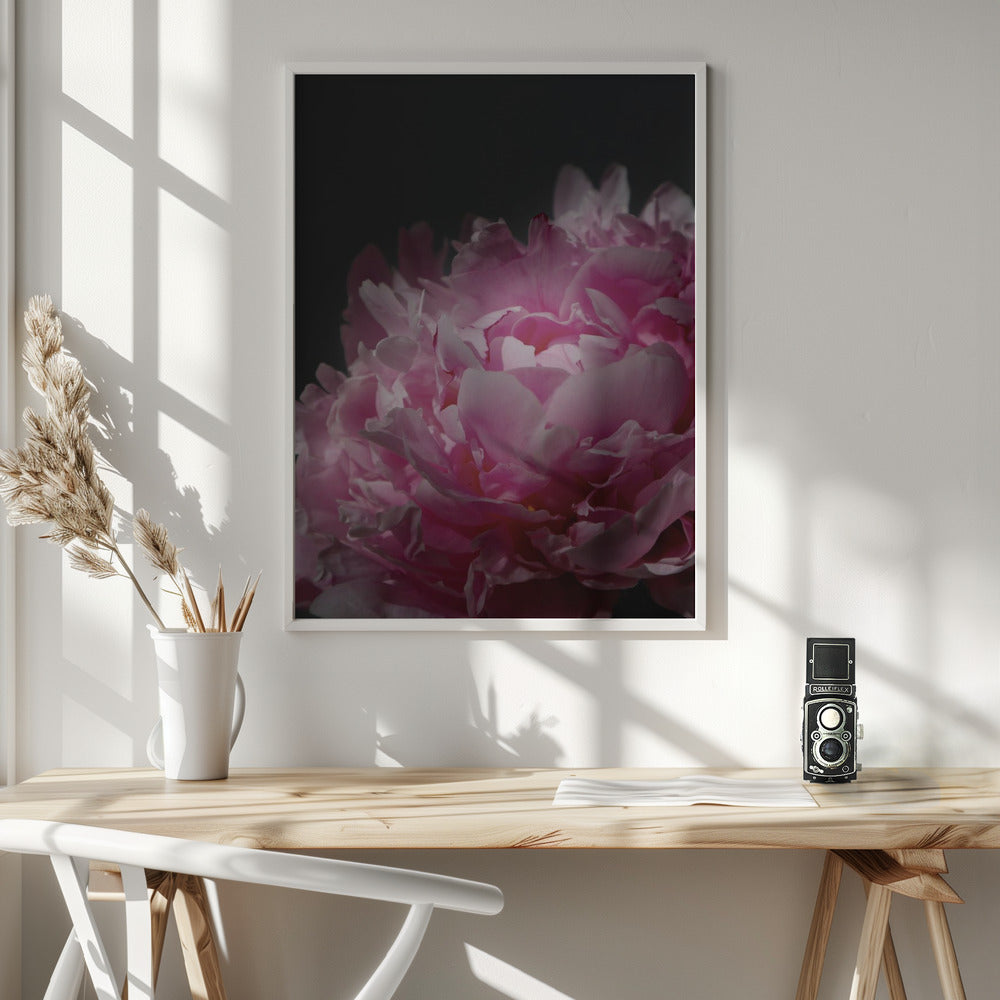 Moody pink peony I Poster