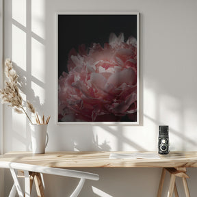 Moody blush peony I Poster