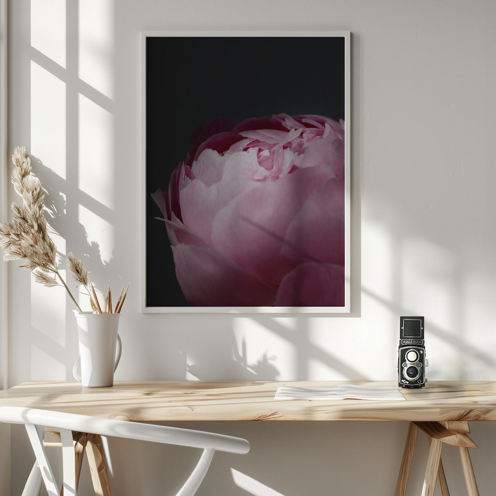 Moody pink peony II Poster