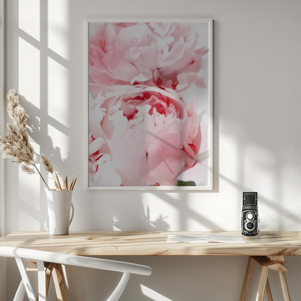 Bllush peony X Poster