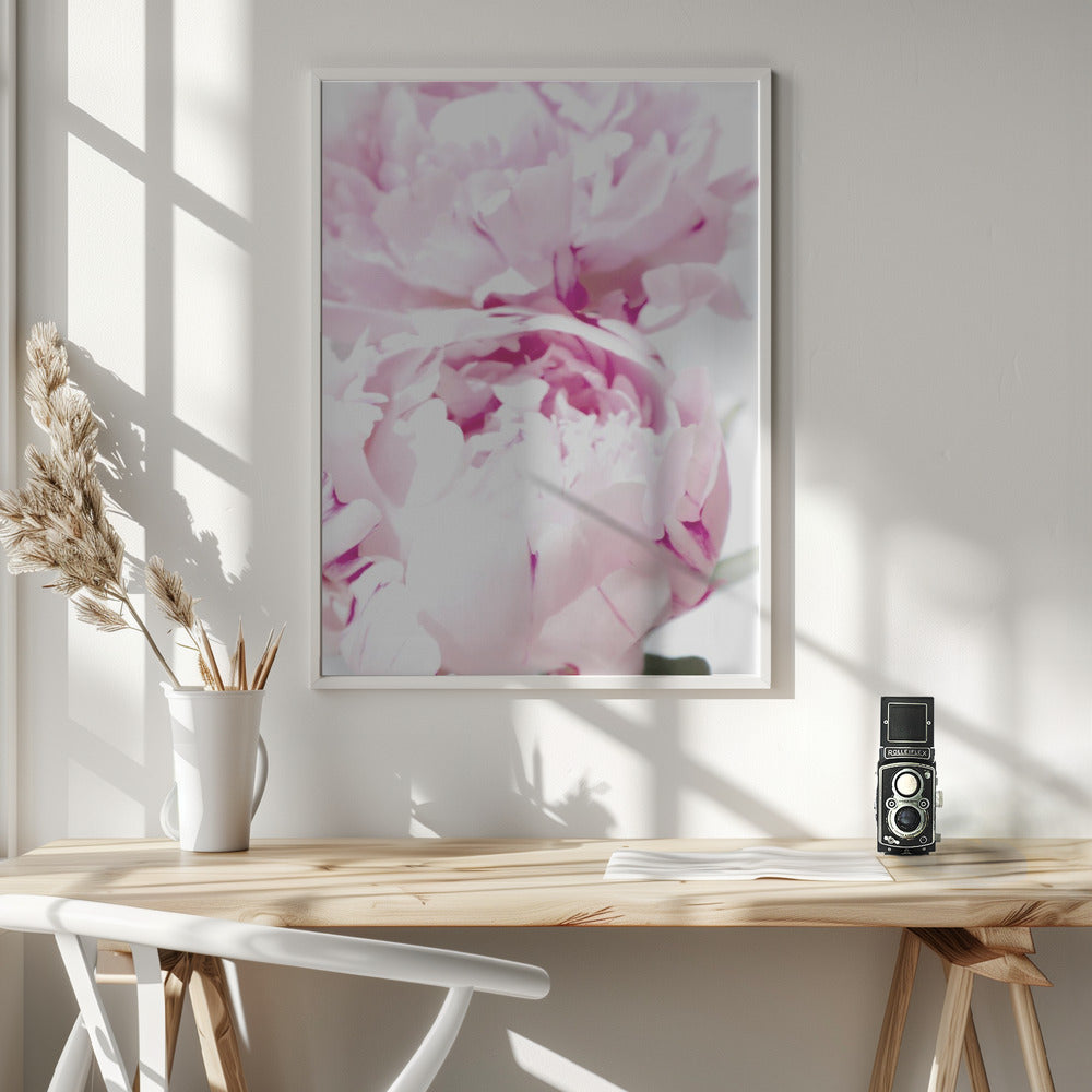 Subdued peony X Poster