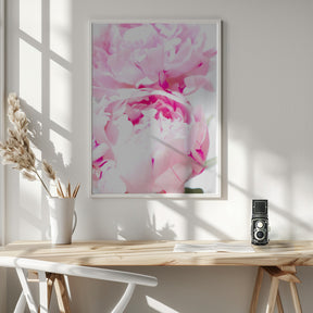 Pink peony X Poster