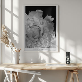 Enjoy the little things peony BW Poster