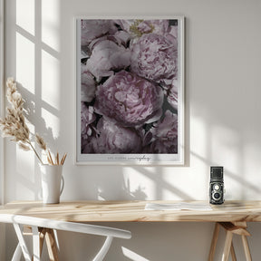 Life blooms everyday peonies Poster