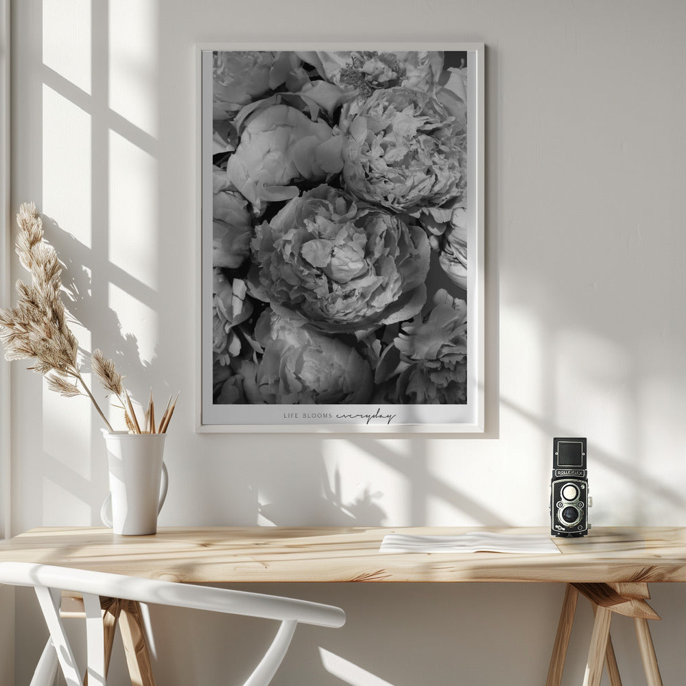 Life blooms everyday peonies bw Poster