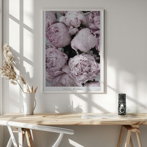 Smile and dream peonies Poster