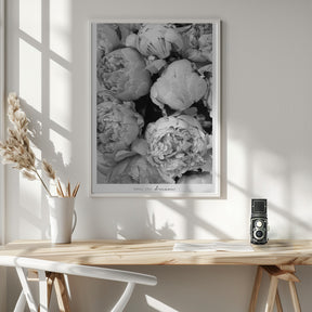 Smile and dream peonies BW Poster