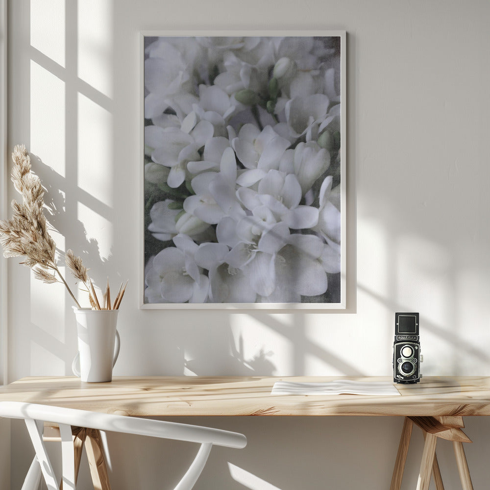 Distressed freesias IV Poster