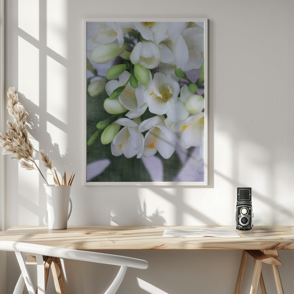 Distressed freesias I Poster