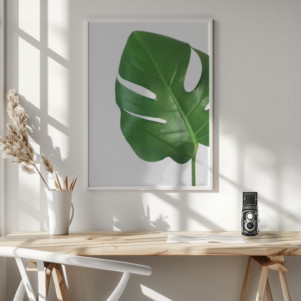 Bright green monstera leaf Poster