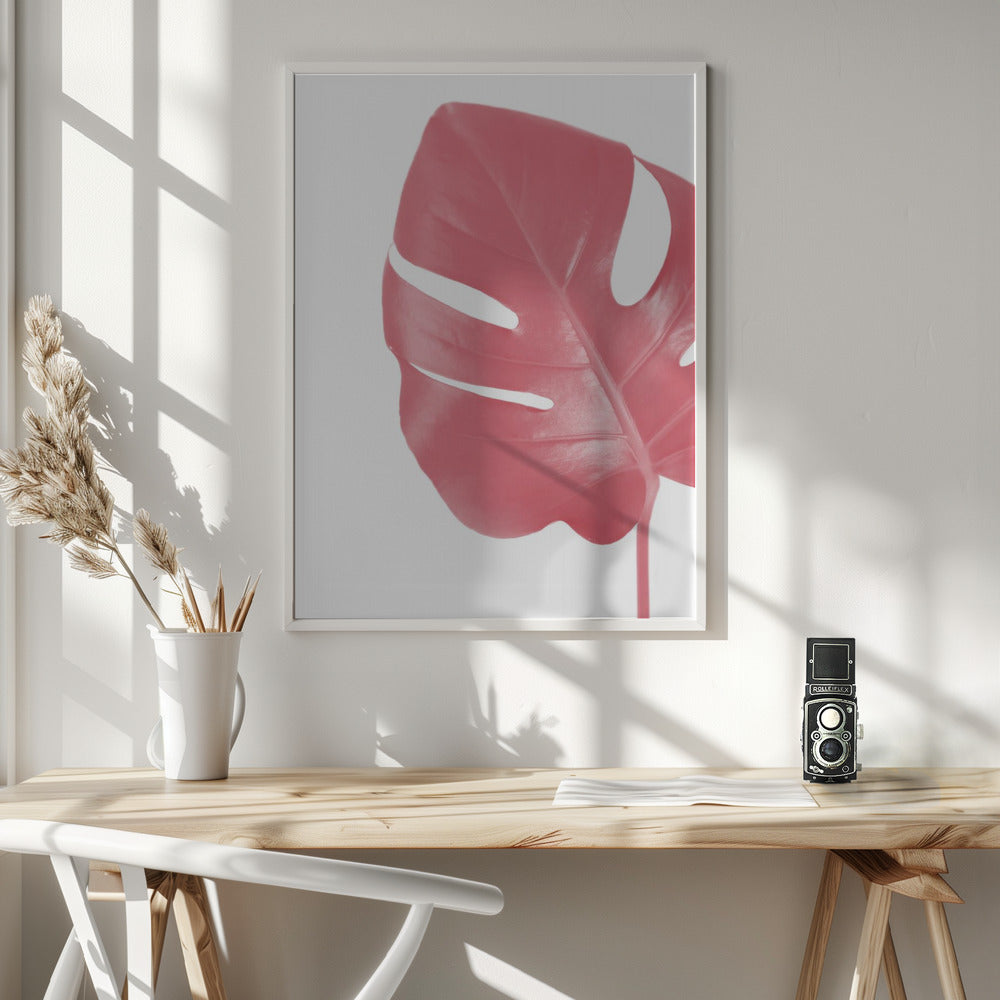 Pink monstera leaf Poster