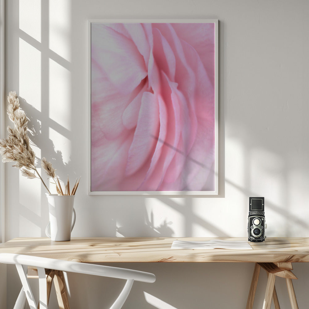 Soft pink petals Poster