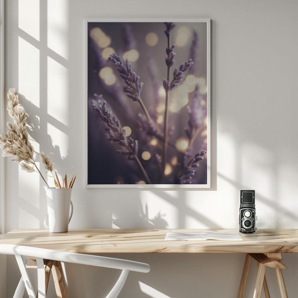 Lavender Detail Poster