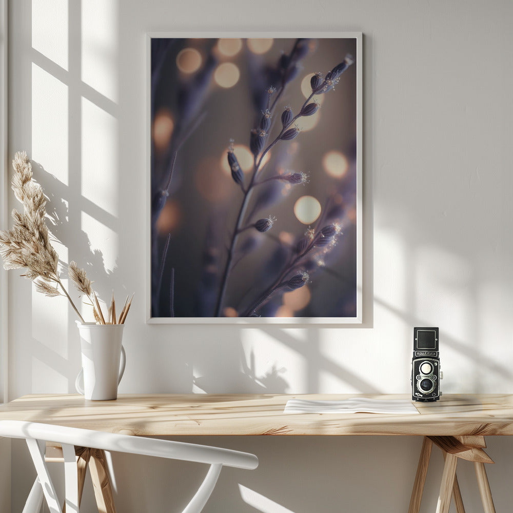 Lavender Macro Poster