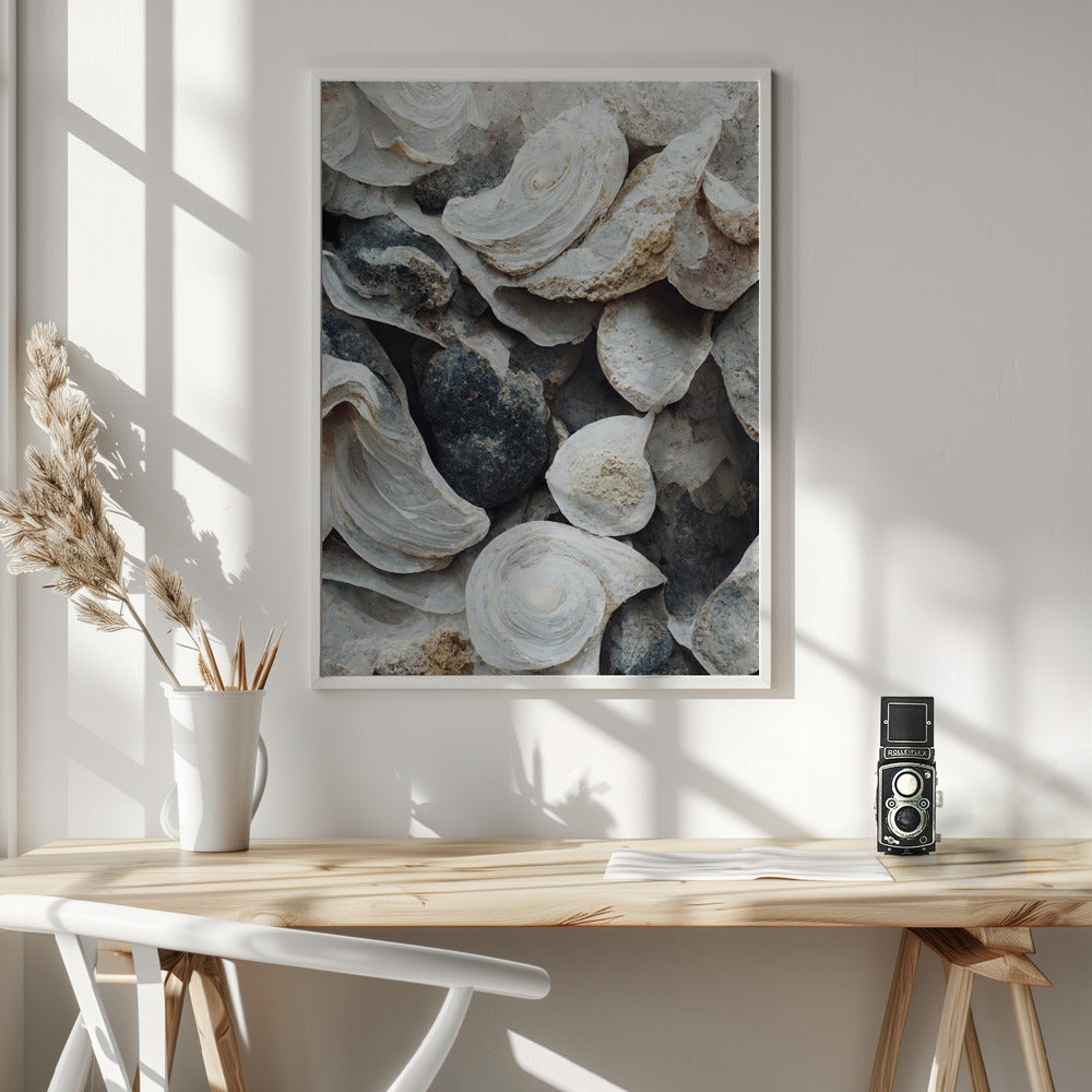 Sea Shells Detail No 4 Poster