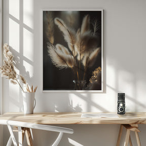 Pampas Grass In Sunlight Poster