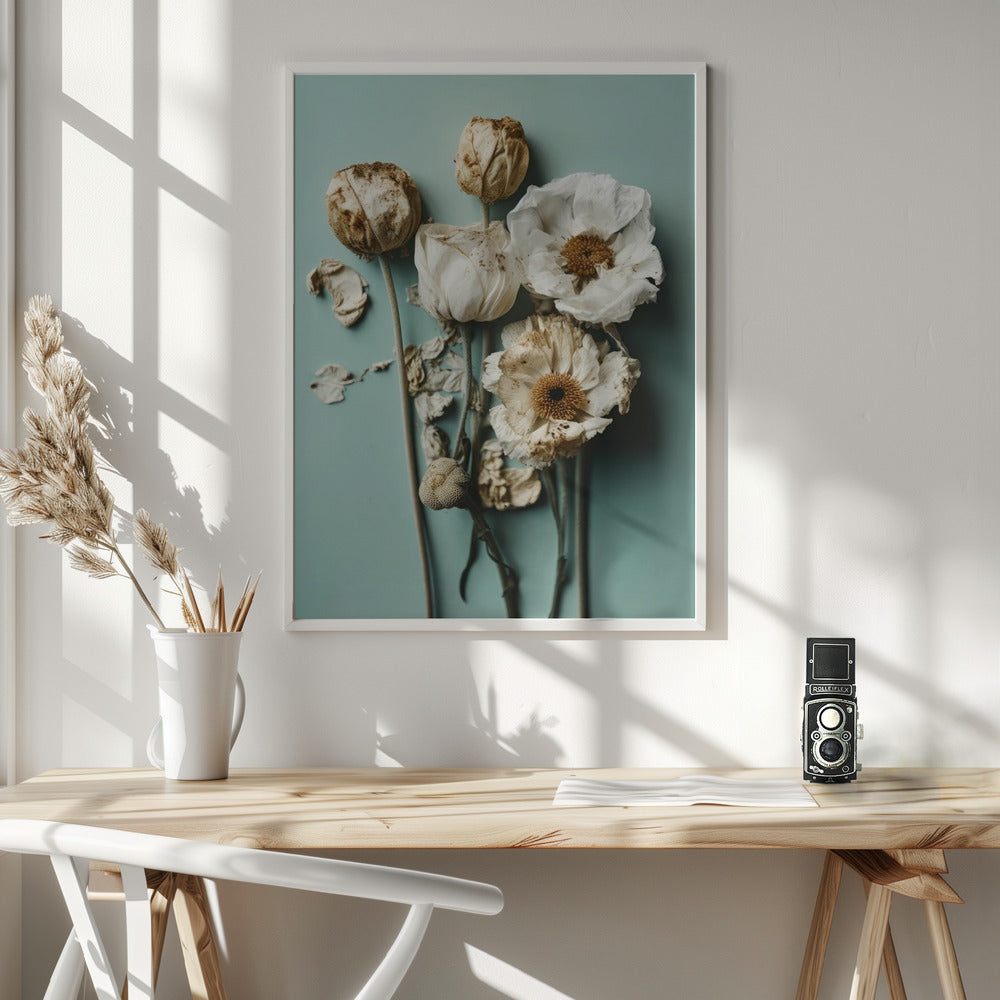 Dry Flowers on Turquoise Background Poster