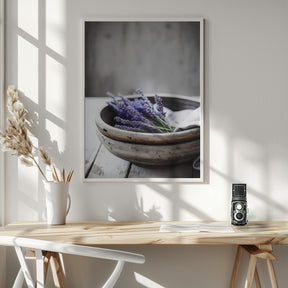 Lavender In Bowl Poster