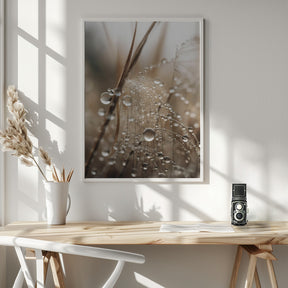 Rain Drops Poster