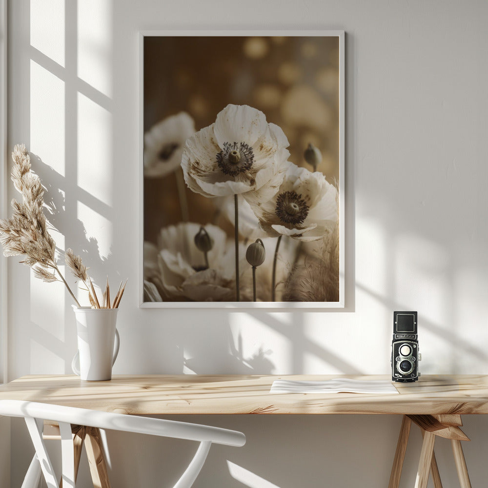 White Poppy Poster