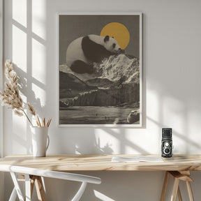 Giant Panda Nap Poster