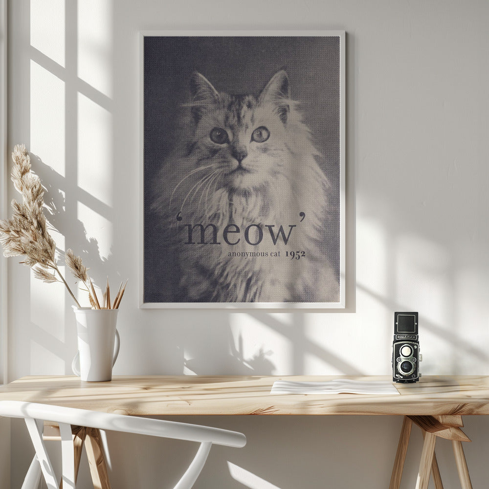 Famous Quote Cat Poster