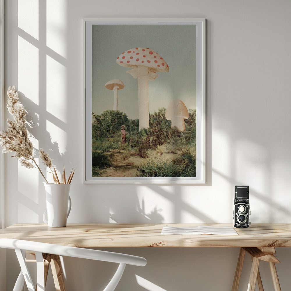 The Finest Giant Mushroom Poster