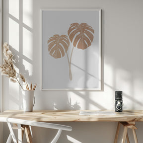 Monstera Plants Poster