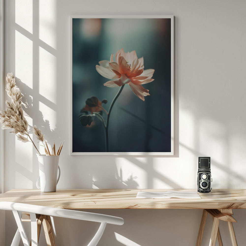 Coral Flowers At Night Poster