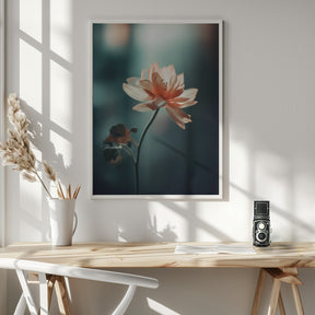 Coral Flowers At Night Poster