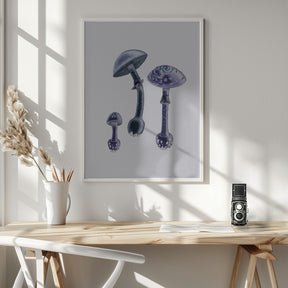 Amanita Muscaria  White Backgound Purple Poster