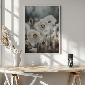 White Poppy Field No 1 Poster