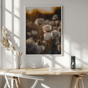 White Poppy Field No 2 Poster